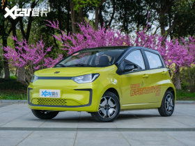 2021����� 