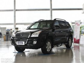 2011����ӥ 