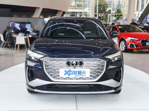 202250 e-tron quattro  ǰ