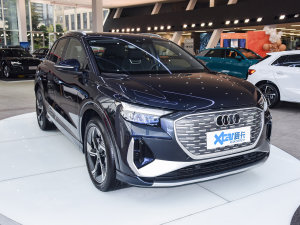 202250 e-tron quattro  ǰ45