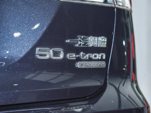 202250 e-tron quattro  ϸ