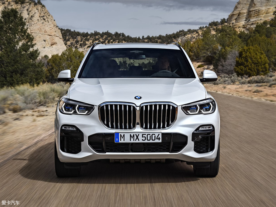 2019X5() xDrive30d