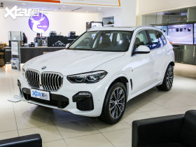 2019���X5(����) 