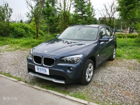 2010���X1(����) 