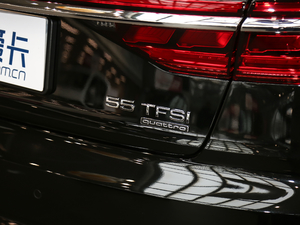 2019Plus 55TFSI quattro  ϸ