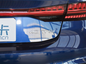 202140 TFSI  ϸ