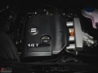 ����������EXEO������