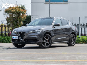 2020��Stelvio˹̹ά 