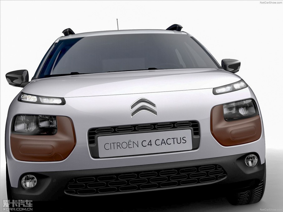 2014Cactus C4 