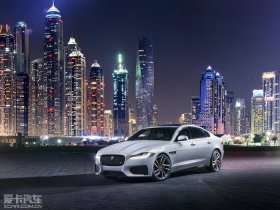 2016��ݱ�XF 