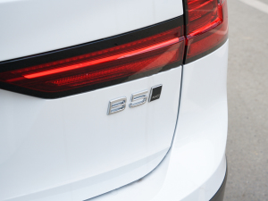 2022B5 AWD  ϸ