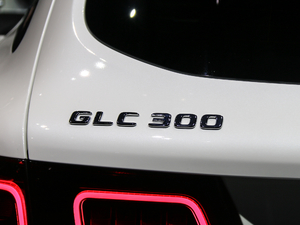 2020GLC 300 ϸ