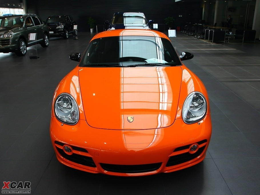 2009Cayman 