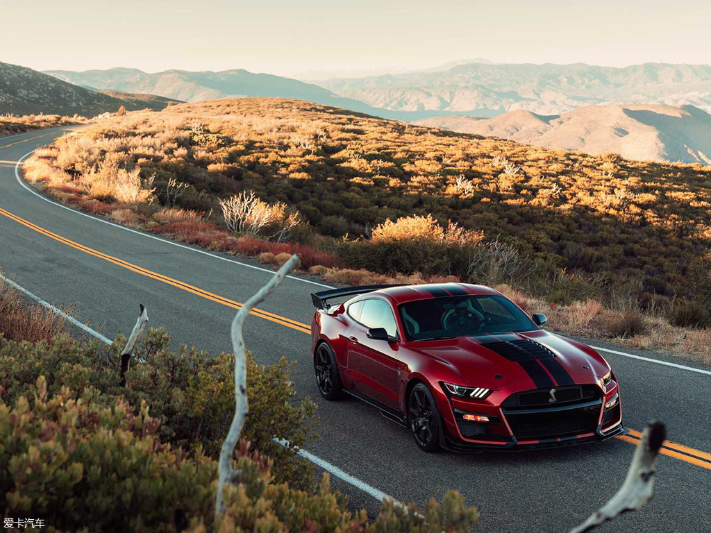 【2020款mustangshelby gt500