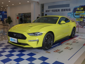 20212.3L EcoBoost ӹ⸴ ǰ45