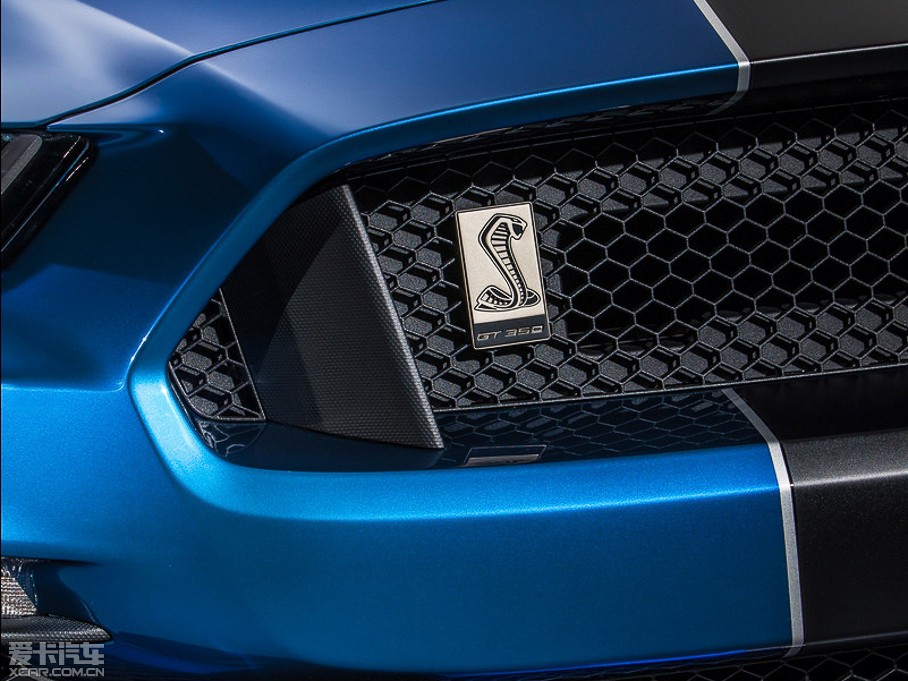 2015款mustanggt350r shelby
