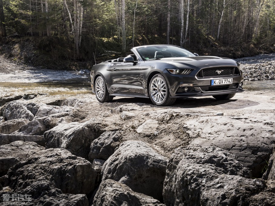 2015Mustang 5.0L GT