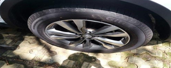轮胎上面的半圆护板叫什么