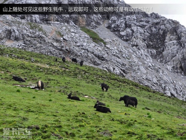 锋驭香格里拉游记