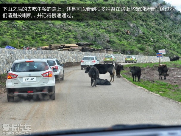 锋驭香格里拉游记