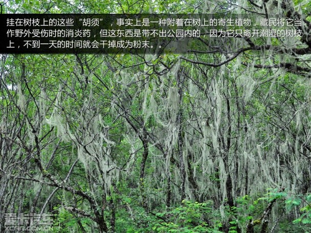 锋驭香格里拉游记