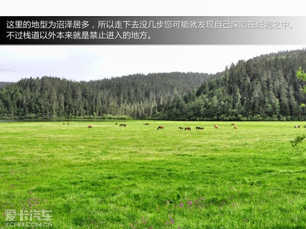 锋驭香格里拉游记