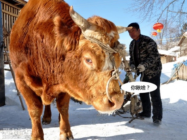 兰德酷路泽冰雪之旅