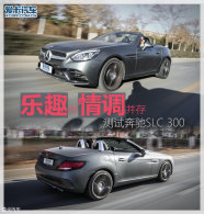 ��Ȥ��������� �������Ա���SLC 300