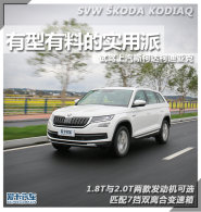 �������ϵ�ʵ���� �Լݿµ��ǿ�330TSI