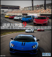 �ٶ��뼤��9 ��������������ʻ����