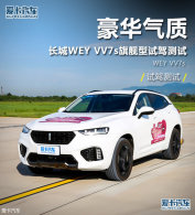 �������� ����WEY VV7s�콢���Լݲ���