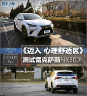 �������������� �����׿���˹NX 300h