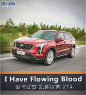 �����˶�ѪҺ �Լ�����ͨ�ÿ�������XT4