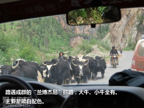 郑州日产 2006款帕拉丁