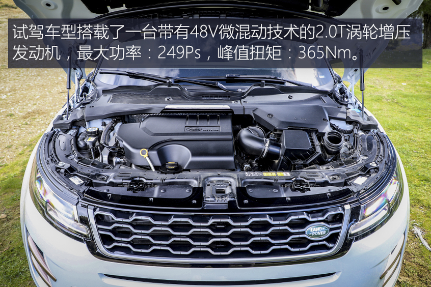路虎(进口)2019款揽胜极光