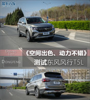 �ռ��ɫ���������� ���Զ������T5L