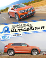 ��ʽ�������� ����������;��X 530 V6