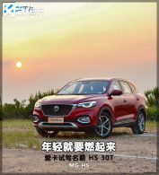 �����Լ����� HS 30T �����Ҫȼ����