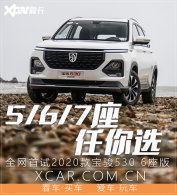 �ԣ�2020���530 �ռ��� ����ƽ˳