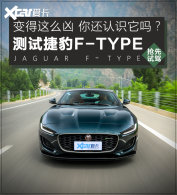 ����������ѧ�Ľ��� ���Ȳ�ݱ�F-TYPE