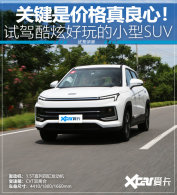 �Լݽ�������X4 �߼�ֵС��SUV��ѡ��