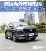 ֵ�ý��� �Լݱ���530ȫ����������