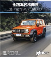 ү�Ƕ���New Toy �����Լ�WEY̹��300