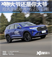 ���ү�������ү ���Ȳ��Թ���H6 2.0T