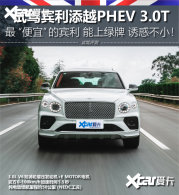 �������Ƶı����˽�һ�£�����ԽPHEV