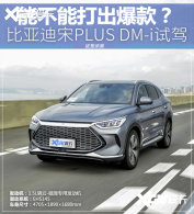 �ܷ���������ǵ���PLUS DM-i�Լ�