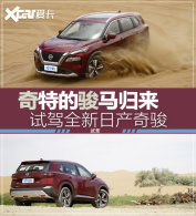 ���Ǳȱ��˸�Ұ�㣡ɳĮ�Լ�ȫ���濥