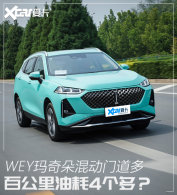 ����Ʒ�ƵĻ춯���� �����Լ�WEY�����