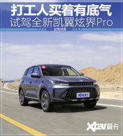 ��������Ҳ�е������Լݿ����Ž�Pro