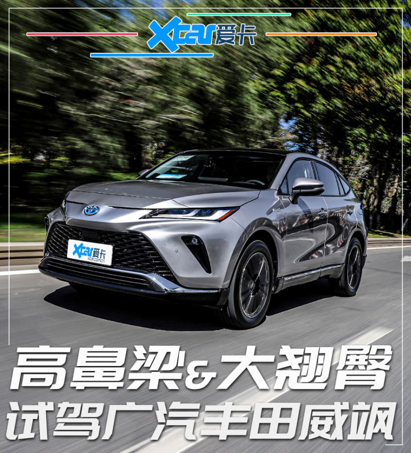 广汽丰田2022款威飒